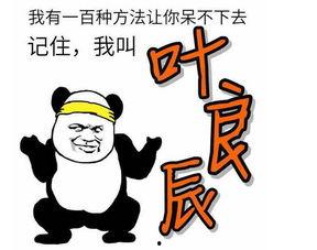 蔡李佛表情包,笑料横生的江湖传奇