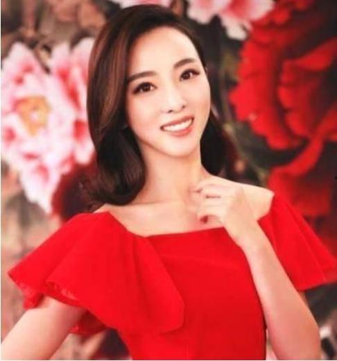 央视李思思的背景,从央视主持到璀璨明星的蜕变之路